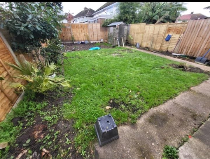 img 20260601 wa0096