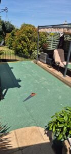 img 20260602 wa0060